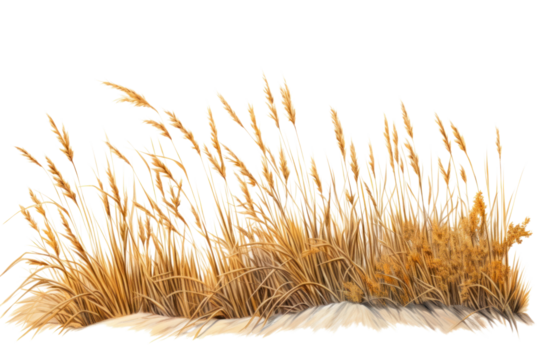 Outdoors plant grass tranquility. AI generated Image by rawpixel.