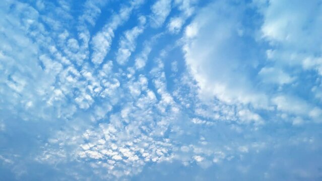 Blue sky white clouds Puffy fluffy white clouds Cumulus cloud cloudscape timelapse Summer blue sky time lapse Nature weather blue sky White clouds background