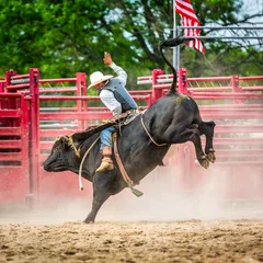 Fotobehang Extreme Sporten Unidentifiable bull rider in a generic rodeo arena. Bull riding is a rodeo sport that involves a bull rider attempting to stay mounted on a bucking bull while the animal tries to buck off the rider  © mandritoiu