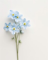 Beautiful Flower Blooms on White Background Generative AI