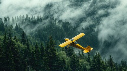 Small single engine plane flying over the forest, green trees, misty mountains in the background.