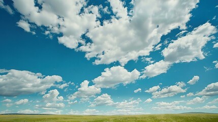   A field of green grass under a blue sky with puffy white clouds in the middle