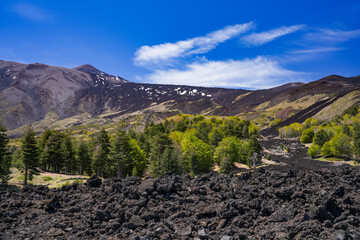 Mount Etna landscape with volcano craters in Sicily, Italy, Europe	
