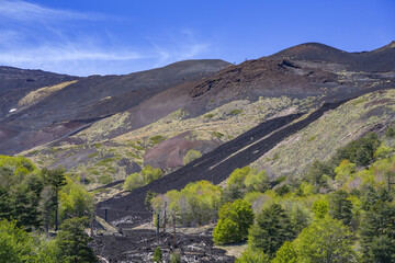 Mount Etna landscape with volcano craters in Sicily, Italy, Europe	
