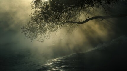 Fototapeta premium Mist and light tendrils curl evoking serene misty morning by the sea