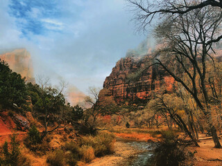 zion national park