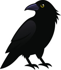 Fototapeta premium raven black and white illustration vector