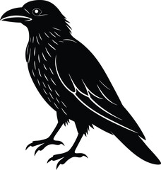 raven black and white illustration vector