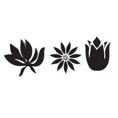 Silhouettes Flower icon set , Abstract botanical flower icon.vector botany  floral design.