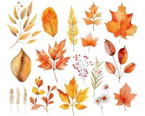 Fototapeta premium Hand Drawn Fall Leaves. Watercolor illustrations Set for Autumn Botanical Clipart