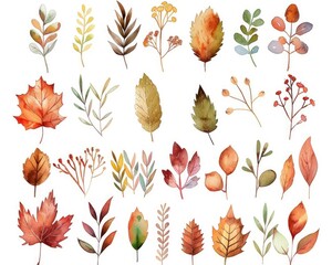 Obraz premium Hand Drawn Fall Leaves. Watercolor Botanical Clipart for Invitations, Cards, Prints