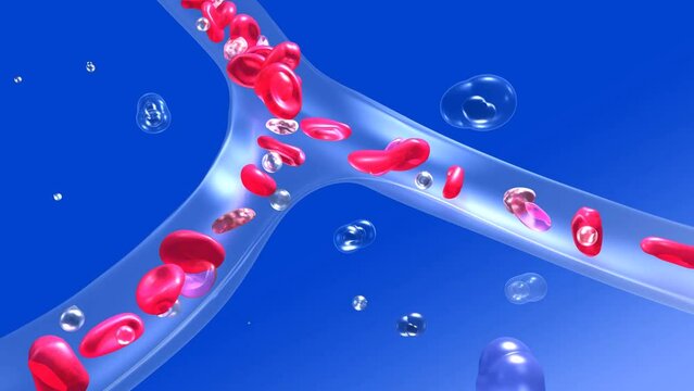Anatomical 3D animation of an artery or vein with the movement of red blood cells and platelets. Rapid blood circulation. Transparent glass capillary on blue background.