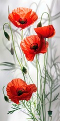 Obraz premium White Poppies. Beautiful Bouquet of Red Poppy Flowers in Close-up Arrangement