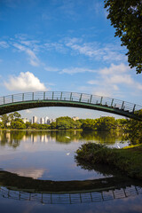 Fototapeta premium Tranquil Lake and Bridge in Ibirapuera Park - São Paulo, Brazil