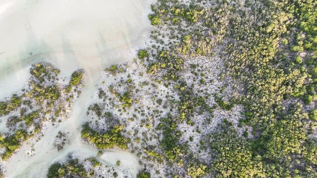 Sunlight shines on the scenic coast of a remote island, Pulau Selu, in the Tanimbar Islands of Indonesia. This tropical area harbors beautiful coral reefs and a wide diversity of fishes.