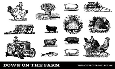 Vintage Farming Collection Vectors Isolated on White Background
