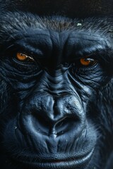 Gorilla: A shot of a gorilla's facial features, capturing its powerful build and expression. 