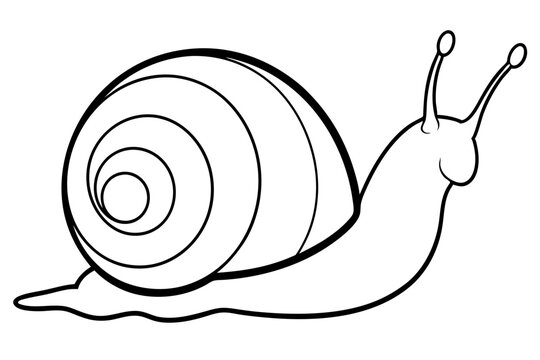 recommend clip art: African land snail anima line art vector illustration