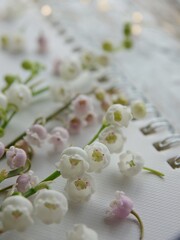 close up of a plate of salad