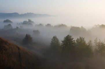 Fog over trees and hills, natural autumn background.
