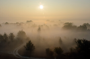 Fog over trees and hills, winding road. natural autumn background.