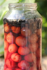 macro of mold on fruit