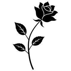 Rose stem and leaves beautiful illustration