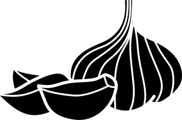 Garlic illustration vector