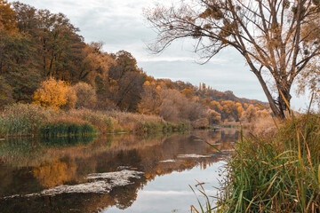 Autumnal scene along the Siverskyi Donets River in Ukraine, with golden trees and serene reflections