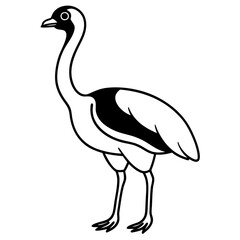 black crowned crane