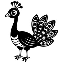 peacock isolated on white
