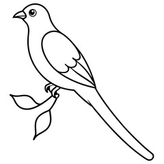 illustration of a bird