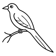 sketch of a bird