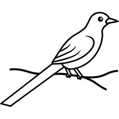 bird on a branch