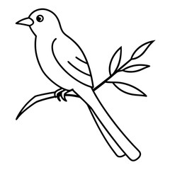 illustration of a bird