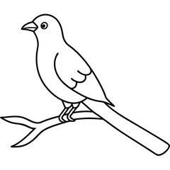 Obraz premium dove of peace