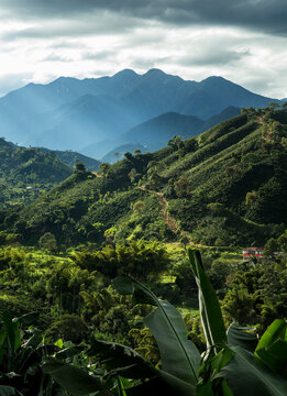 Paisaje cafetero colombiano en Suroeste de Antioquia, Tapart&oacute;. Finca de caf&eacute; con Farallones del Citar&aacute; de fondo, majestuosas monta&ntilde;as y agricultura.