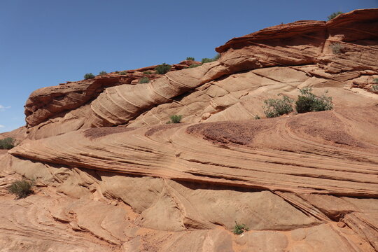 desert