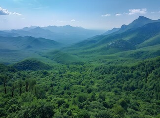 Fototapeta premium Lush Green Mountain Forest Landscape