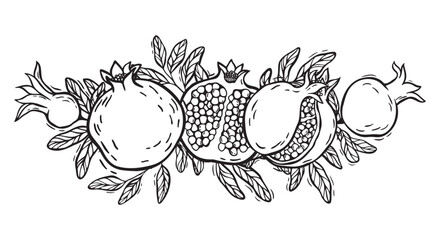 Obraz premium Pomegranate halves and whole fruits with seeds and leaves. Vector botanical black and white illustration, hand drawn in linocut style. Drawing for packaging design, menus, recipes, postcards.