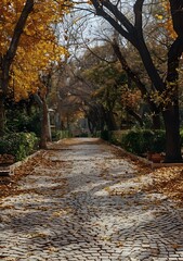 An Autumn Park with Yellow Foliage