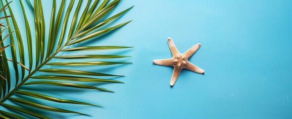 starfish on the beach