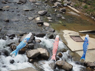 豊平川の上を泳ぐ鯉のぼり