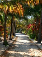 Palm Trees Lined Path Tropical Island