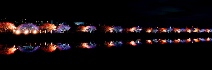 八千代市新川千本桜のライトアップ