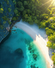 Serene Tropical Beach with Crystal Clear Waters and Lush Green Trees Overhead A Stunning Aerial View Capturing the Natural Beauty of a Remote Coastal Paradise