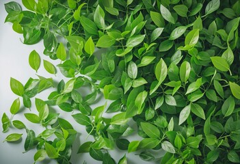 Bright Ideas for a Sustainable Future