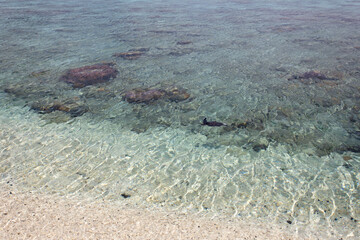 透明な海