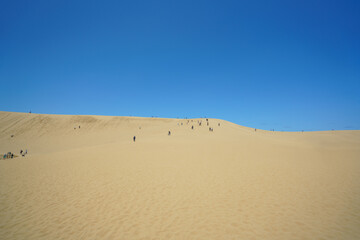 Tottori Sand Dunes Landscape under Clear Blue Sky