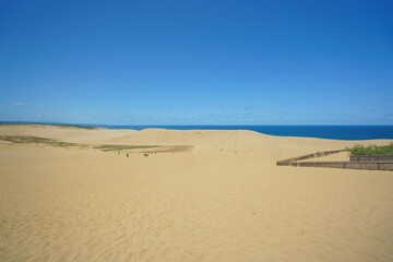 Tottori Sand Dunes Landscape under Clear Blue Sky